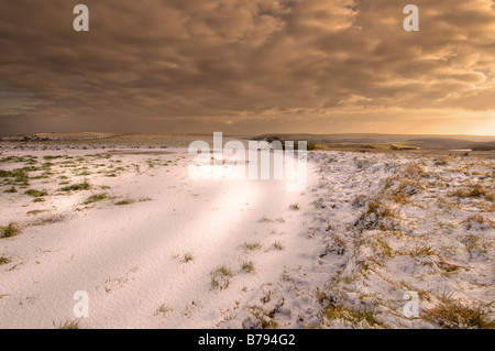 Snowy scena in un stagno di rugiada sul South Downs, East Sussex, Regno Unito Foto Stock