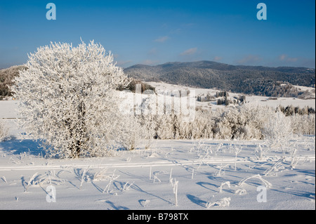 Paesaggio rurale coperto di neve nei monti Tatra Regione di Podhale Polonia Foto Stock