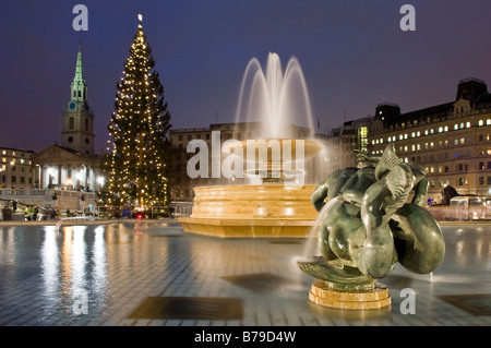 Albero di Natale in Trafalgar Squre al crepuscolo Westminster Londra Inghilterra REGNO UNITO Foto Stock