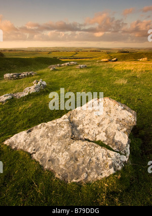 Arbor Low Foto Stock