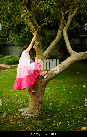 Bambina di cinque anni si arrampica su di un albero di mele Foto Stock