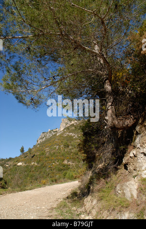 La via che conduce al XII secolo il castello moresco, Vall de Gallinera, Marina Alta, Provincia di Alicante, Comunidad Valenciana, Spagna Foto Stock