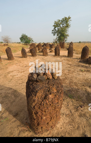 Wassu circoli di pietra il Gambia Foto Stock