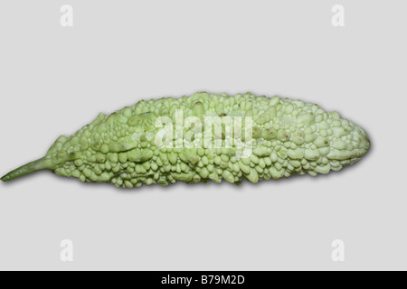 Bittergourd su sfondo bianco Foto Stock