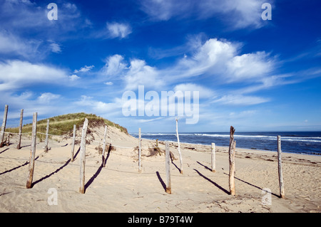 Testa di Prato Beach Truro Cape Cod MA Foto Stock