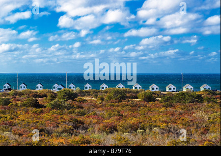 Biciclette beach cottages Truro Cape Cod Massachusetts USA Foto Stock