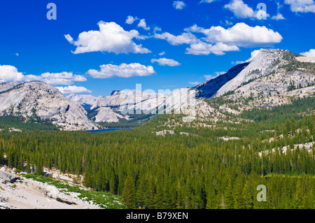 Lago Tenaya e cupole in granito Tuolumne Meadows area parco nazionale Yosemite in California Foto Stock