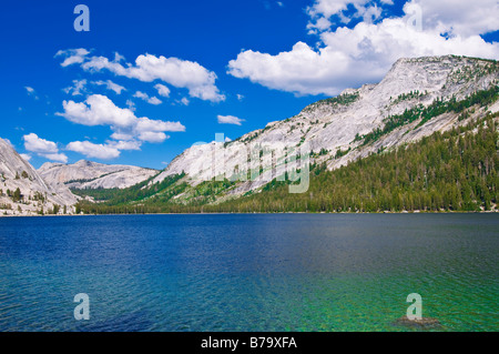 Lago Tenaya sotto Tenaya picco prati Tuolumne area parco nazionale Yosemite in California Foto Stock