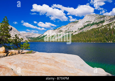 Lago Tenaya sotto Tenaya picco prati Tuolumne area parco nazionale Yosemite in California Foto Stock