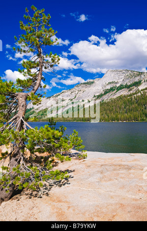 Lago Tenaya sotto Tenaya picco prati Tuolumne area parco nazionale Yosemite in California Foto Stock