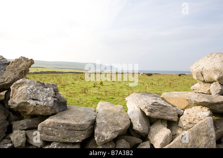Doolin, County Clare, Irlanda, vista sulle scogliere di Moher Foto Stock