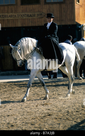 Una donna vestito in Portoghese tradizionale abito equestre sidesaddle equitazione presso l annuale Golegã horse festival in Portogallo Foto Stock