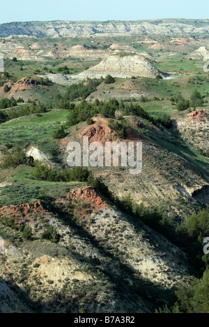 Badlands si affacciano Theodore Roosevelt NP Unità del Sud Dakota del Nord STATI UNITI D'AMERICA Foto Stock