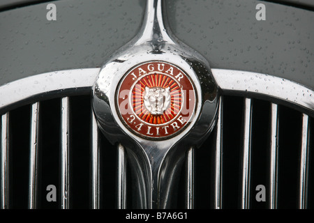 Jaguar Mark II Foto Stock