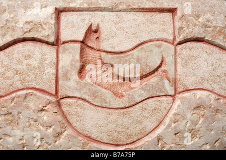 Il Crest del Breitenbach comune, trota in torrente, intagliato nella Red Rock triassico, Breitenbach, Tirolo, Austria, Europa Foto Stock