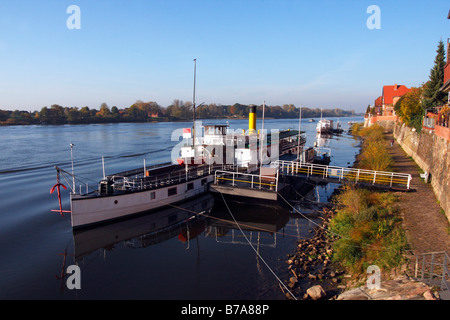 Steamboat storico Kaiser Wilhelm accanto alla passeggiata sul fiume Elba in Lauenburg, Herzogtum-Lauenburg distretto, Schleswig Foto Stock