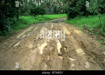 Un fangoso via attraverso il Niokolo Koba Parco Nazionale Foto Stock