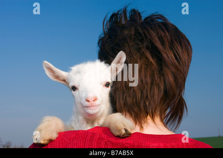 Bianco su goatling alle spalle della donna Foto Stock