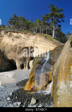 La cascata nel abbraccio Point State Park, Oregon, USA, America del Nord Foto Stock