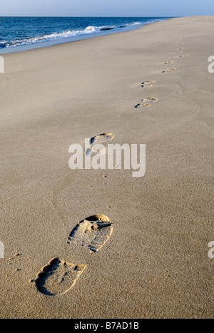 Sentieri nella sabbia, spiaggia occidentale della isola di Sylt, Schleswig-Holstein, Germania, Europa Foto Stock