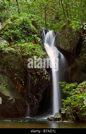 Cascate nella foresta pluviale del Cockscomb Basin Wildlife Sanctuary, Belize, America Centrale Foto Stock