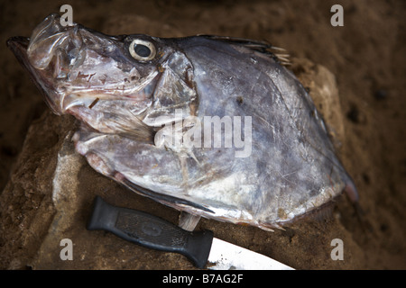 Un beachside 'restaurant' serve piatti freschi di pesce alla griglia in Yoff, un villaggio di pescatori a 30 minuti dalla capitale del Senegal città di Dakar. Foto Stock