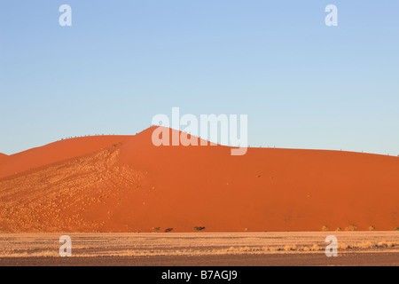 Persone rampicante delle dune rosse di Sossusvlei, Namibia Foto Stock
