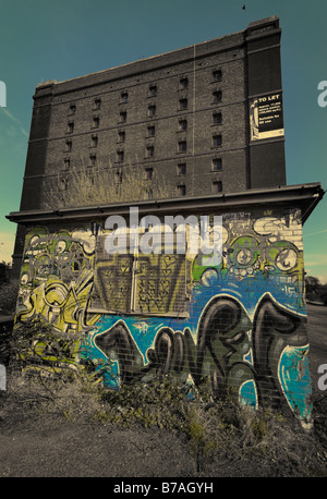 Tinta ciano e tonica vista di un regime doganale deposito doganale con graffiti piccolo edificio coperto in primo piano. Foto Stock