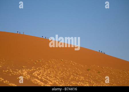 La gente camminare lungo la cresta delle Dune 45 in Sossusvlei in Namibia, un profondo cielo blu come sfondo. Foto Stock