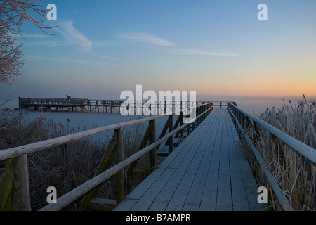 Umore invernale sul Federseesteg, Lago Federsee pier, all'alba, area protetta, Alta Svevia, Baden-Wuerttemberg, Germania, Eur Foto Stock