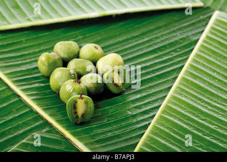Il kiwi precedentemente noto come uva spina cinese (Actinidia chinensis), su foglie di banano Foto Stock