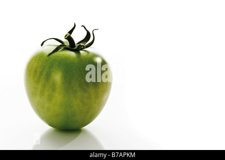 Vite verde il pomodoro Foto Stock