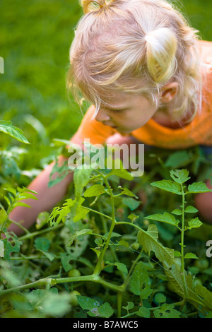 Bambina (7 anni) prelevare carote al di fuori del giardino vegetale Foto  stock - Alamy