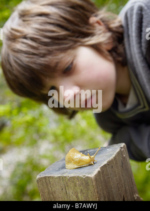 Ragazzo esaminando una banana Slug Foto Stock