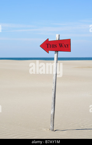 Freccia nel deserto Foto Stock