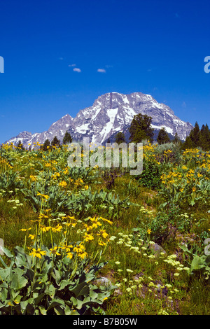 Grand Teton Mountains, Wyoming USA Foto Stock