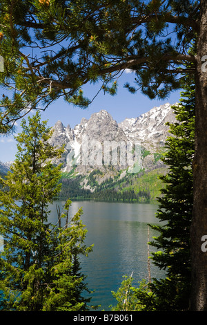 Grand Teton Mountains, Wyoming USA Foto Stock