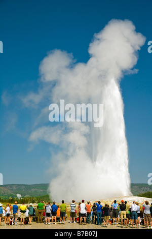 Geyser, il Parco Nazionale di Yellowstone, Wyoming USA Foto Stock