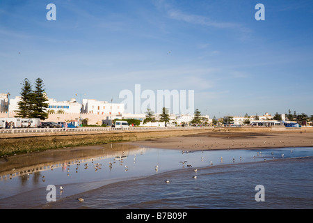 Essaouira Marocco Nord Africa dicembre tranquilla spiaggia di sabbia nel west coast seaside resort Foto Stock