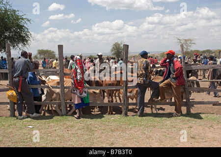 Masai mercato del bestiame Aitong Masai Mara riserva nord Kenya Foto Stock