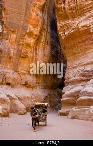 Carrozza a cavallo in Petra in Giordania Foto Stock