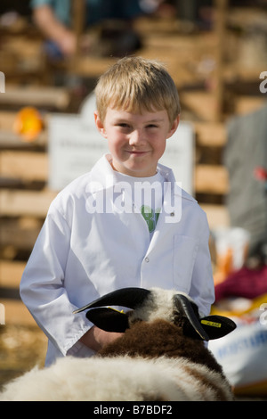 Masham pecore Fair North Yorkshire England Regno Unito Foto Stock