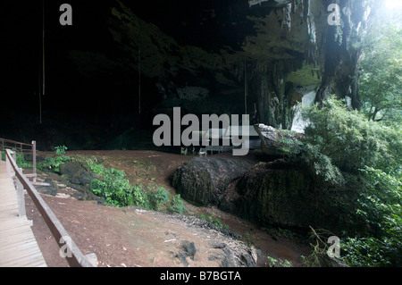 Niah National Park mantiene le grotte Niah un grande labirinto di grotte che era la più antica resti umani sono stati trovati nel sud est asiatico Foto Stock