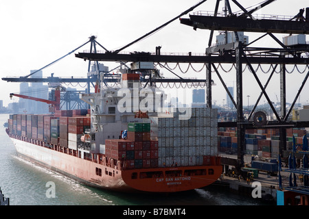 Dockers e gru a portale di scarico di una nave portacontainer come Docks nel porto di Miami in Dodge Island nella Baia di Biscayne a Miami. Foto Stock