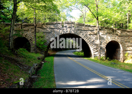 Strada carrozzabile arcata in pietra bridge nel Parco Nazionale di Acadia nel Maine, Stati Uniti d'America Foto Stock