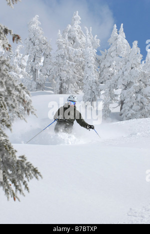 Sciatore in fresco in polvere untracked Foto Stock