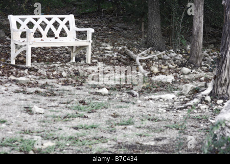 Un banco vecchio seduto tra i grandi alberi di quercia in caduta vicino al bordo di un lago per la visualizzazione Foto Stock