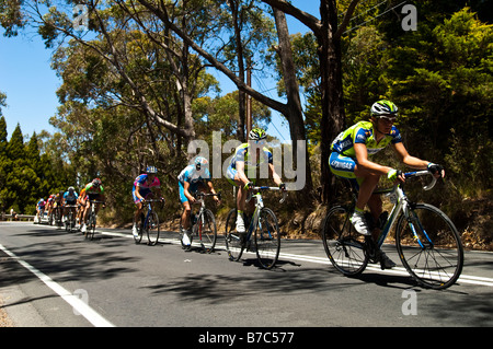 I ciclisti competere nel Tour Down Under 2009 Classic Bike Race in colline di Adelaide Australia Foto Stock