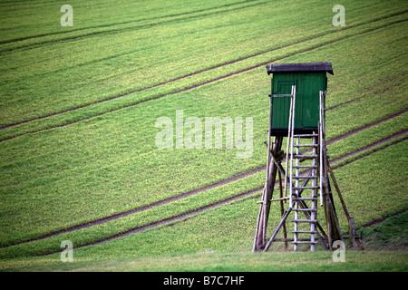 deerstand Foto Stock