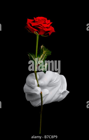 Una sola rosa rossa essendo presentato da una mano in un guanto bianco isolato su sfondo nero Foto Stock